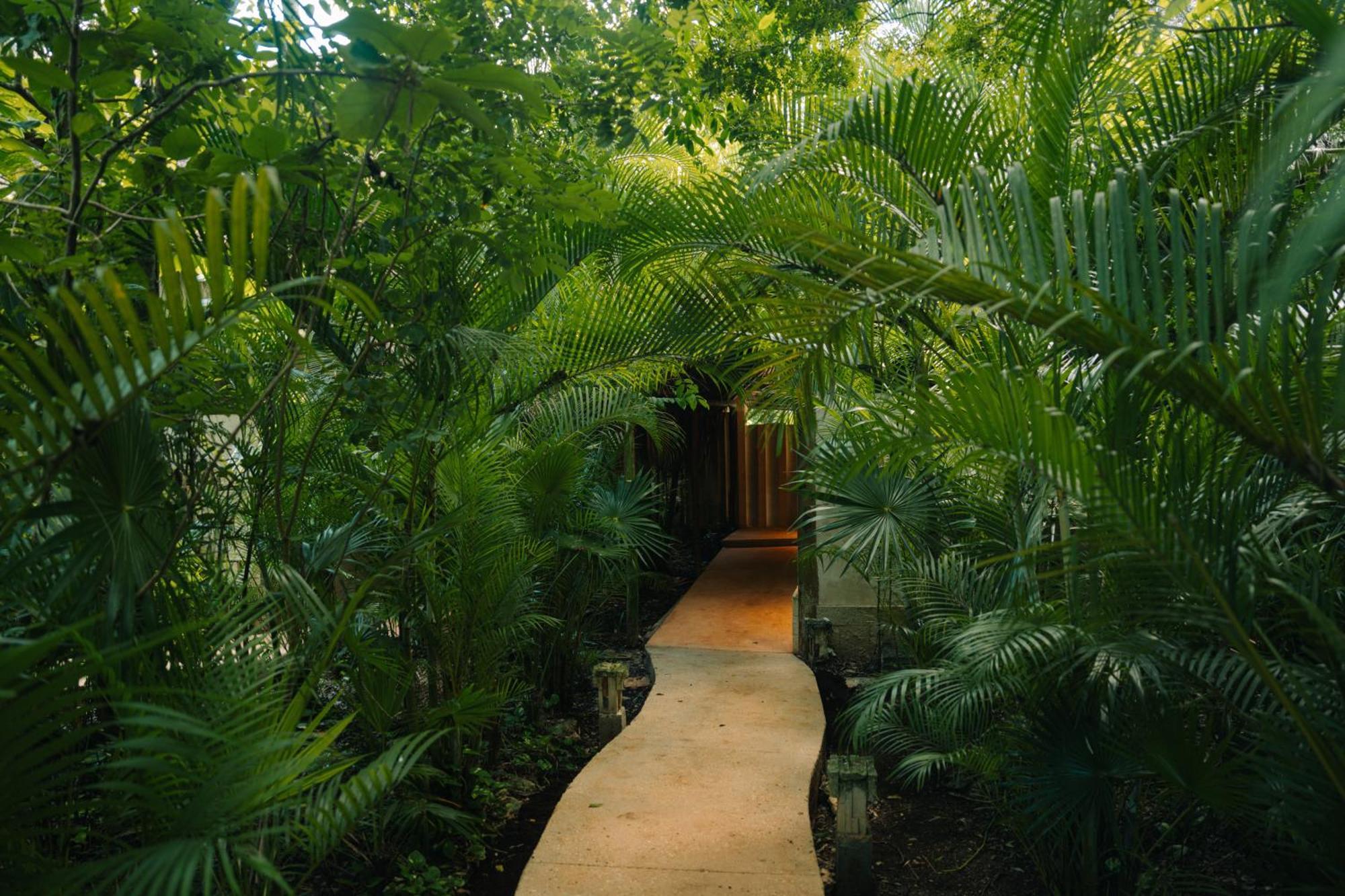 Aldea Coba An Escape Boutique Experience Hotel Bagian luar foto