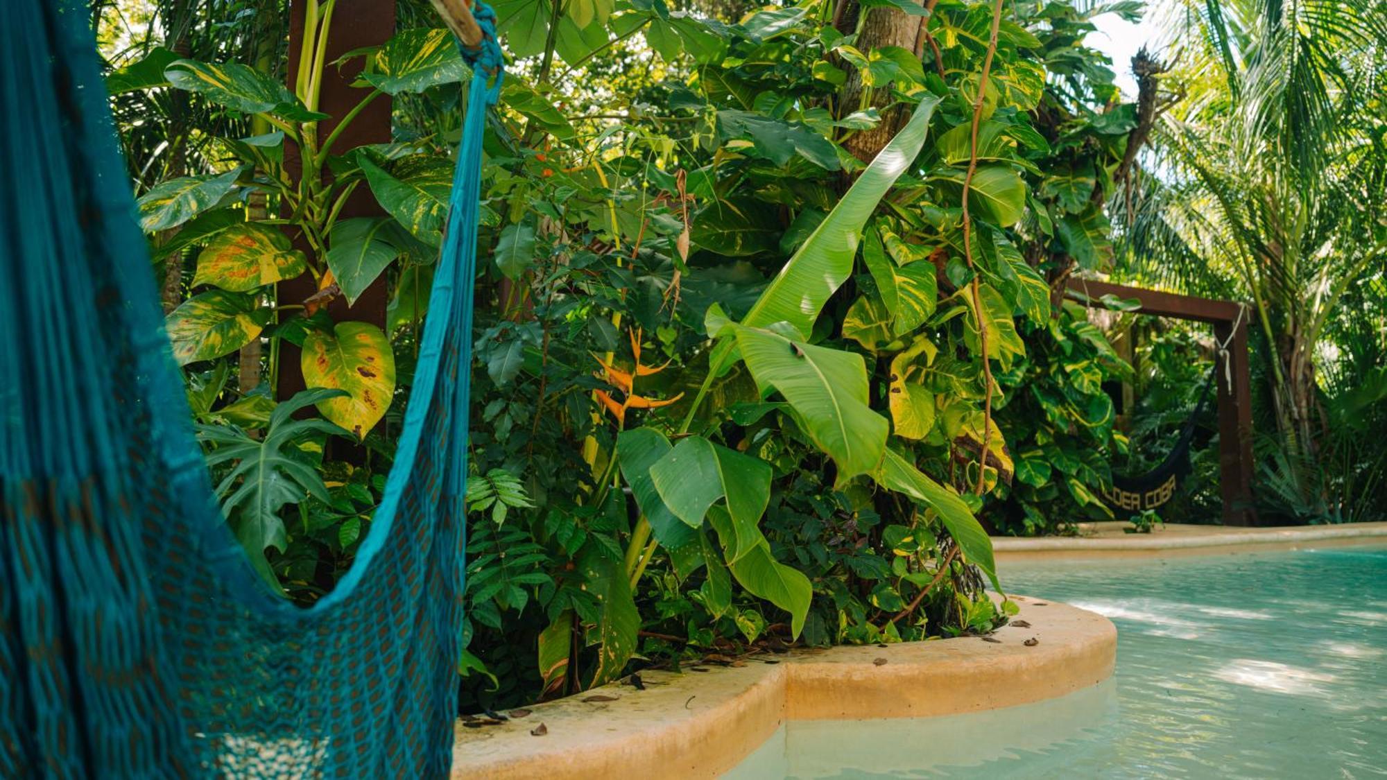 Aldea Coba An Escape Boutique Experience Hotel Bagian luar foto