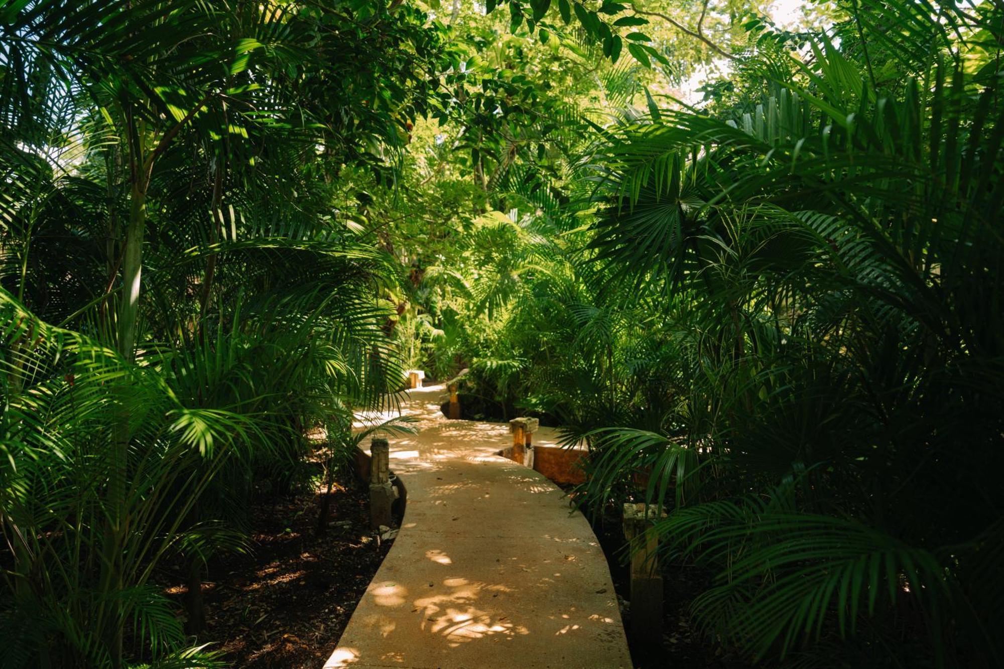 Aldea Coba An Escape Boutique Experience Hotel Bagian luar foto