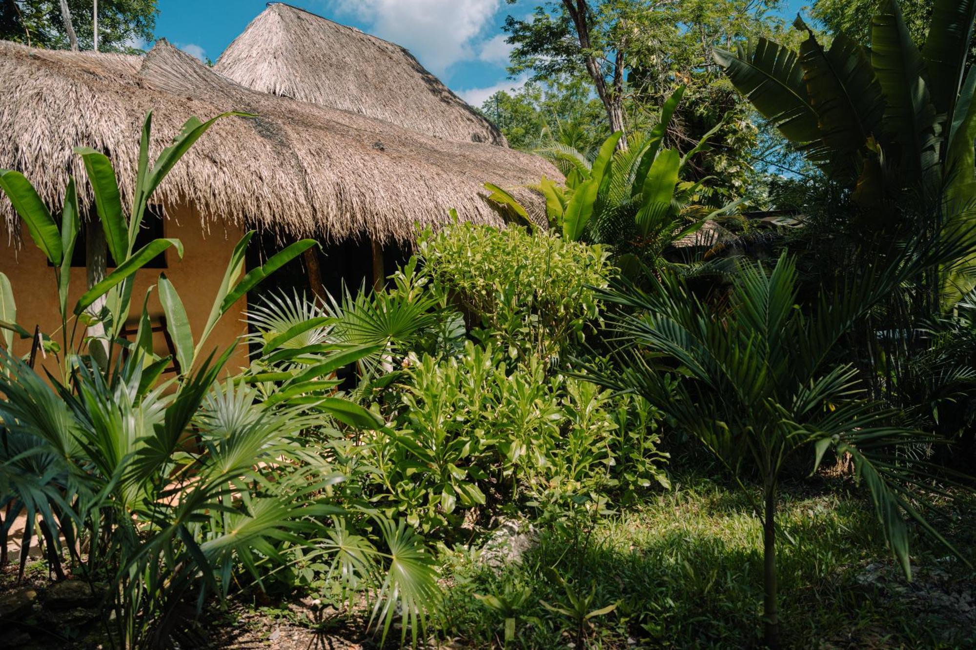 Aldea Coba An Escape Boutique Experience Hotel Ruang foto
