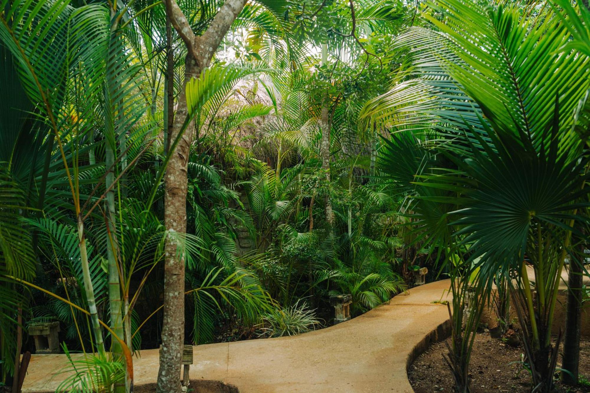 Aldea Coba An Escape Boutique Experience Hotel Ruang foto